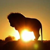 @joseli@mastodon.social